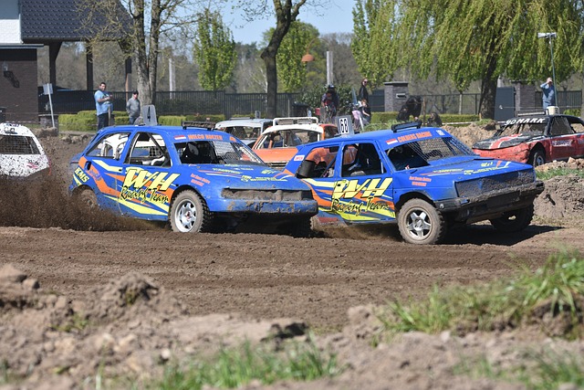 皇家社会的 皇家社会的