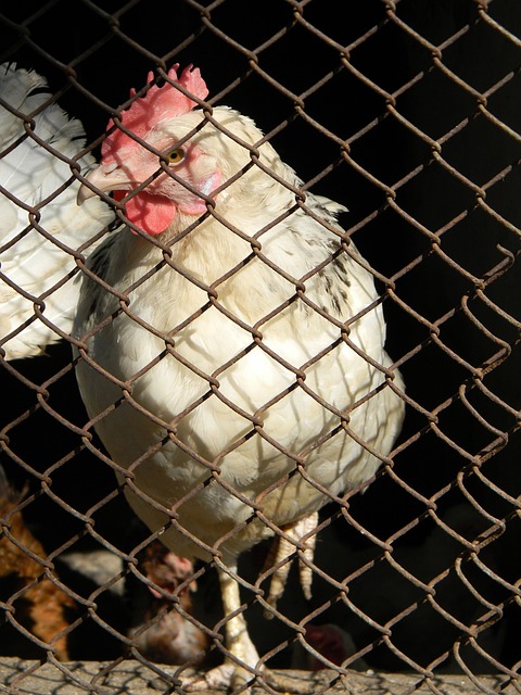 现出的勤奋 现出的勤奋