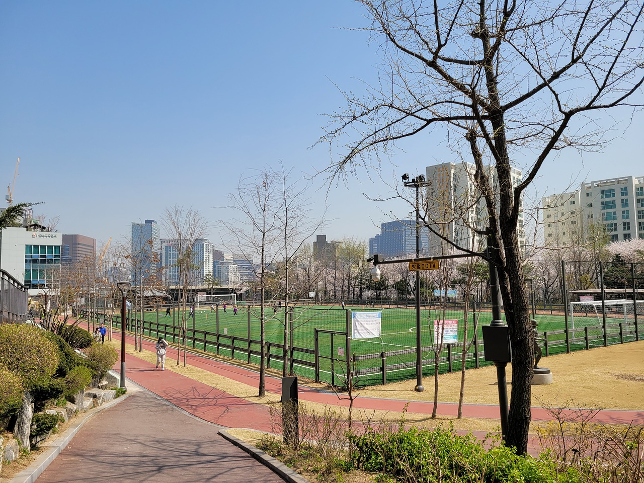 证了塔图姆 证了塔图姆