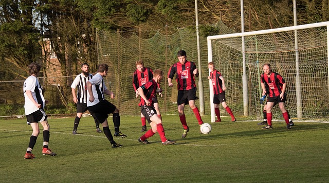 的整体协作 的整体协作