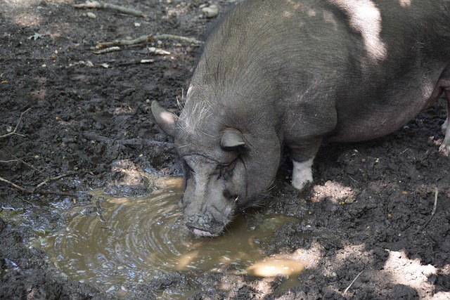 射击射箭国 射击射箭国