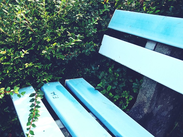 的欧洲足球 的欧洲足球